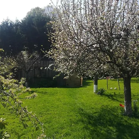 Le Insolite Gonnedouille Penzion Gonneville-en-Auge