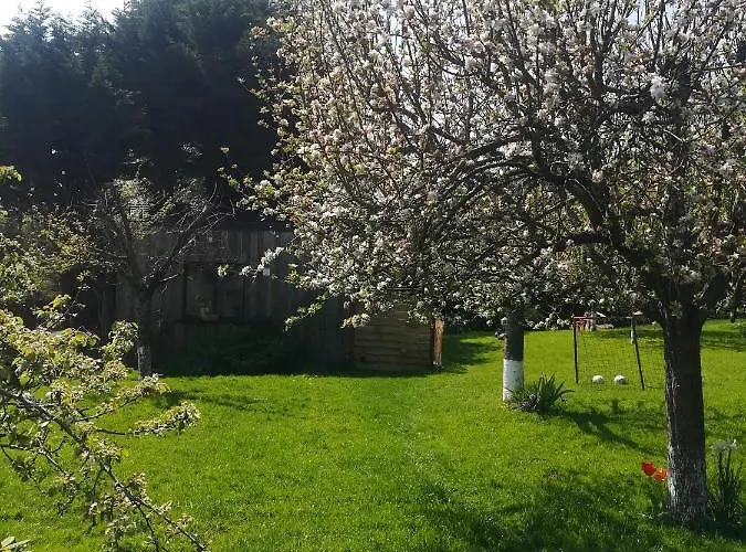 Le Insolite Gonnedouillé Affittacamere Gonneville-en-Auge